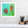 Limited edition print of discus fish