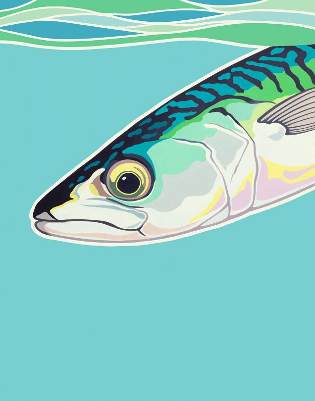 Poster of a mackerel