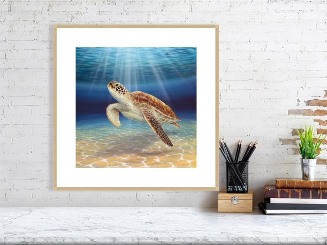 Sea turtle print in an oak frame