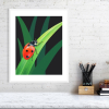 Ladybird print in a white frame
