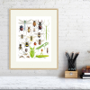Insect poster in an oak frame