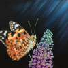 Original painting of a painted lady butterfly