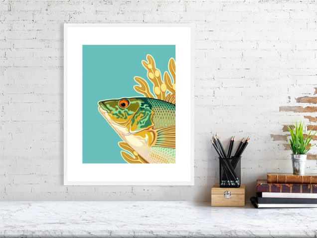 Wrasse fish print in a white frame