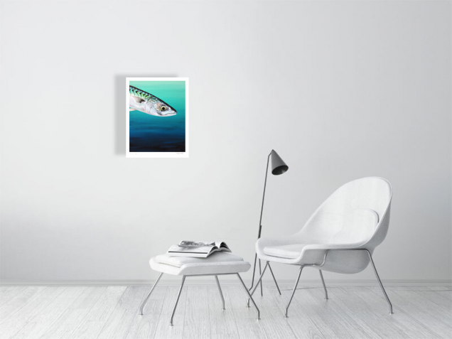 Limited edition print oa amackerel