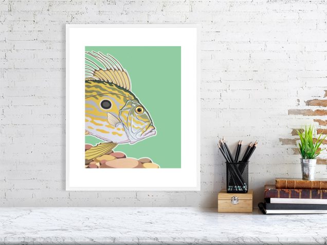 John Dory print in a white frame