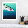Mackerel print in a white frame