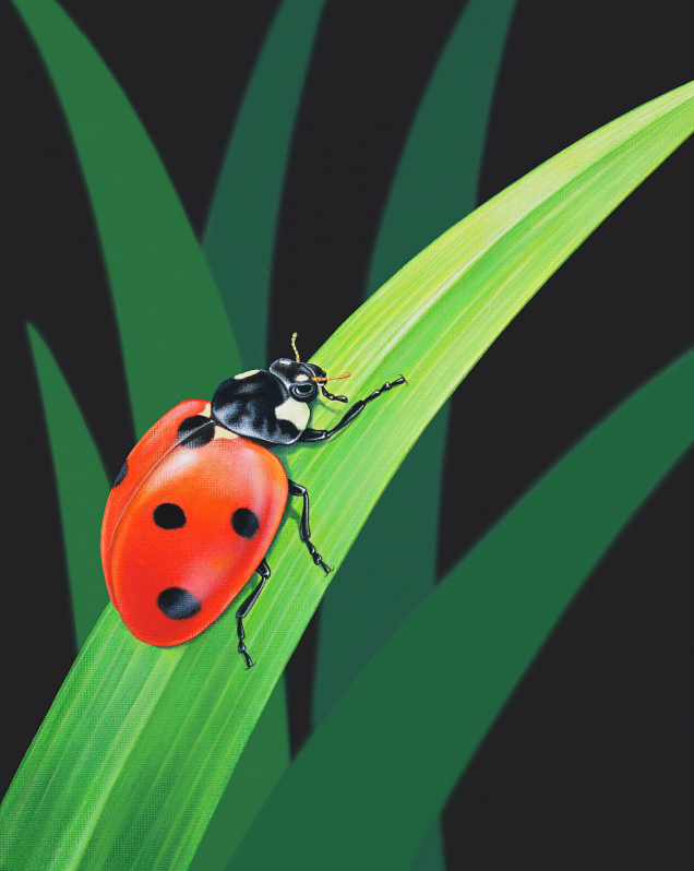 Original painting of a ladybird