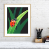 Ladybird print in an oak frame