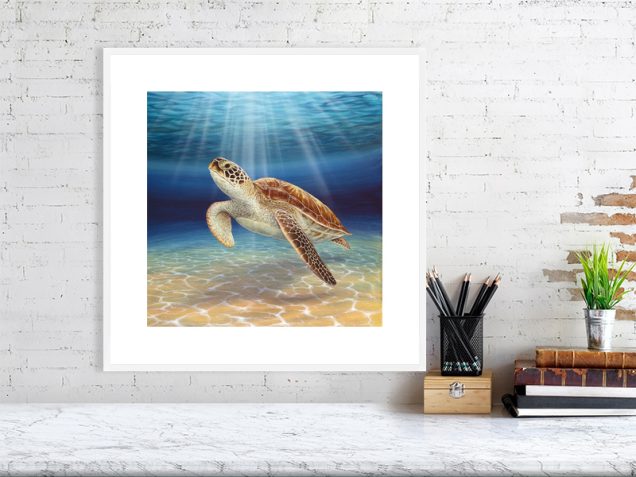 Sea turtle print in a white frame