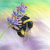 Original painting of a bumble bee