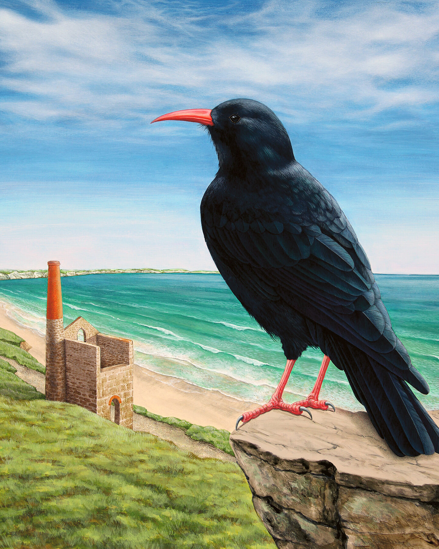 Painted of a chough bird