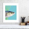 Sea bass print in a white frame