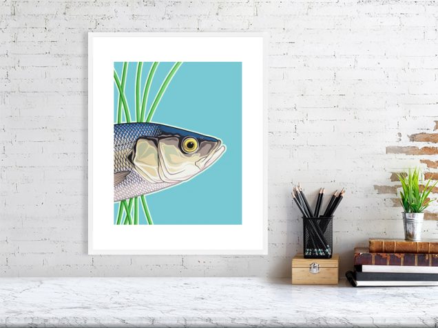 Sea bass print in a white frame