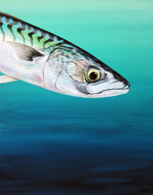 Original painting of a mackerel