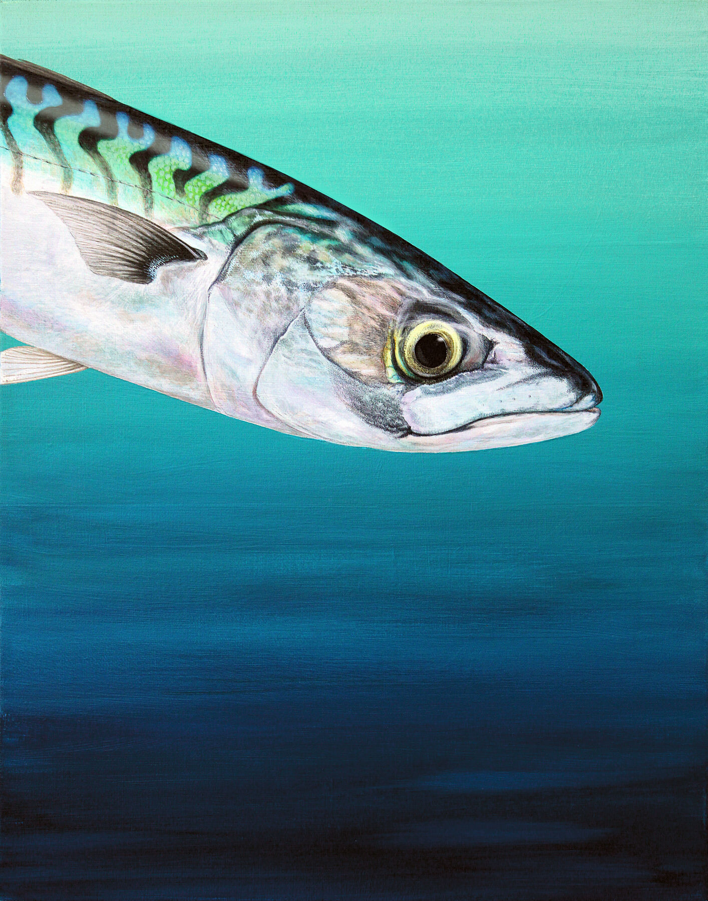 Original painting of a mackerel