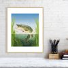 Pike print in an oak frame