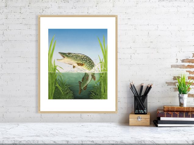 Pike print in an oak frame