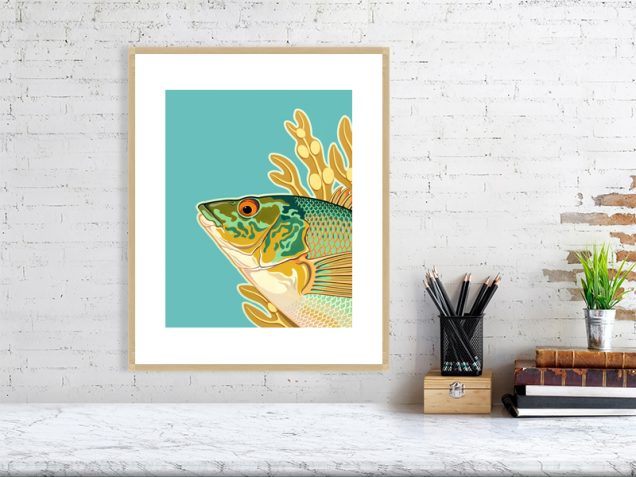 Ballan wrasse print in an oak frame