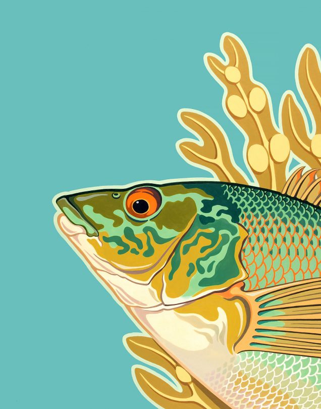 Acrylic painting of a wrasse