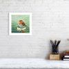 Signed limited edition print of a robin