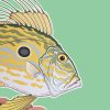 John Dory poster painting