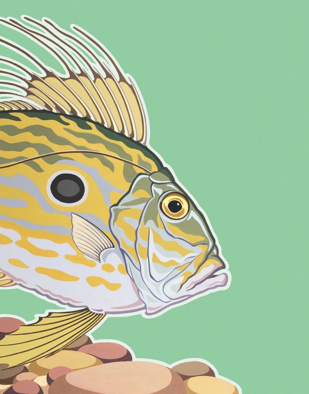 John Dory poster painting