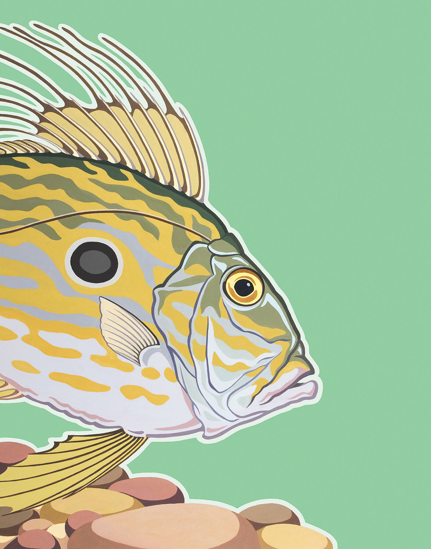 John Dory poster painting