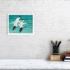 Signed print of gannet hanging on a wall