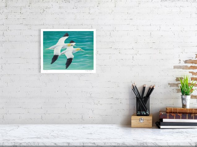 Signed print of gannet hanging on a wall