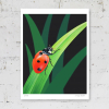 Limited edition print of a ladybird