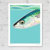 Signed print of a mackerel painting
