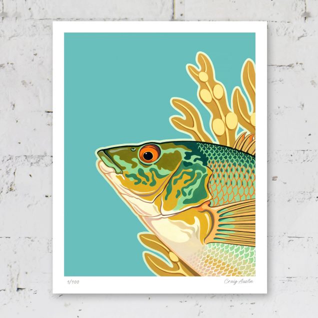 Wrasse poster print