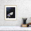 Marbled white butterfly print in an oak frame