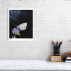 Signed print of a marbled white butterfly