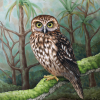 Original painting of a morepork owl