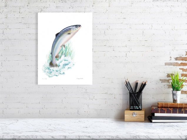 Limited edition print of a salmon