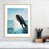 Print of an orca in an oak frame