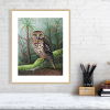 Morepork print in an oak frame