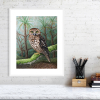 Morepork print in a white frame
