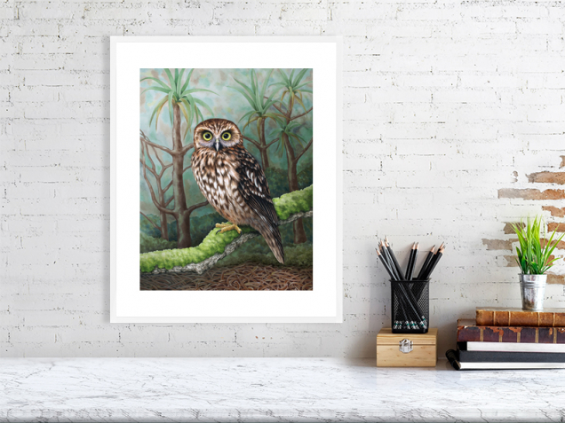 Morepork print in a white frame