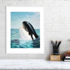 Print of an orca in a white frame
