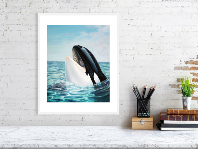 Print of an orca in a white frame