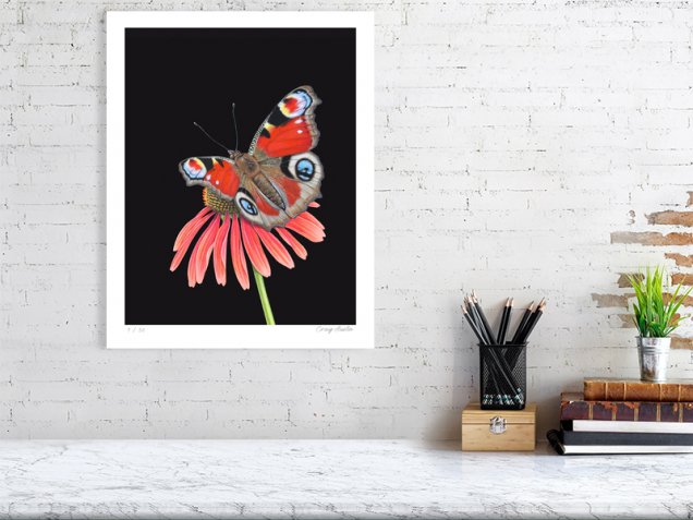 limited edition print of a peacock butterfly