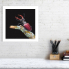 Limited edition print of a stag beetle