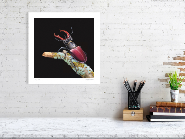Limited edition print of a stag beetle