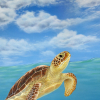 Original painting of a green sea turtle