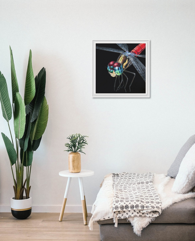 Dragonfly painting hanging in the wall