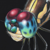 Detail painting of dragonfly head