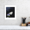 Marbled white butterfly print in a white frame
