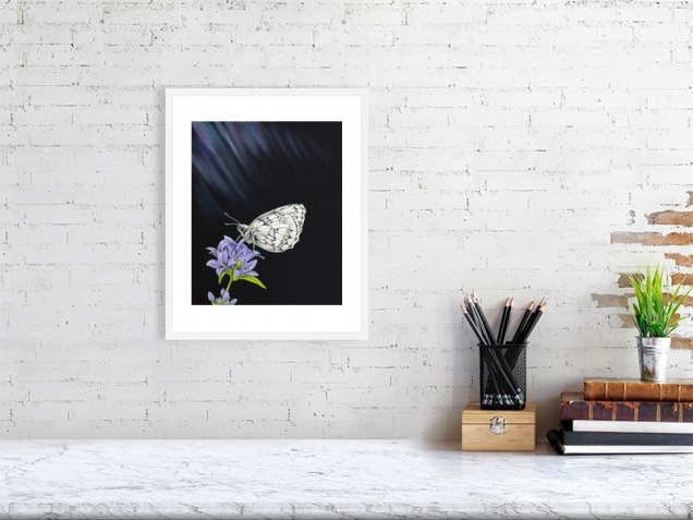 Marbled white butterfly print in a white frame